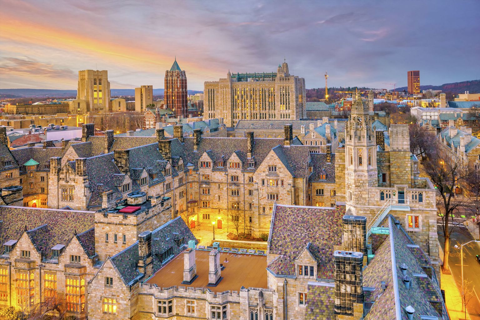 New Haven University